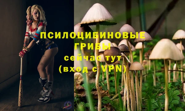 кокаин Вяземский